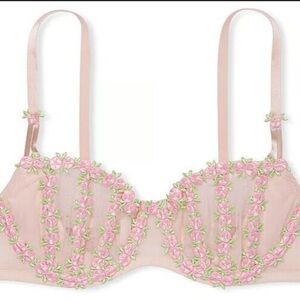 Victoria's Secret Pale Pink Sheer Bra & Bikini Set with Pink Floral Embroidery